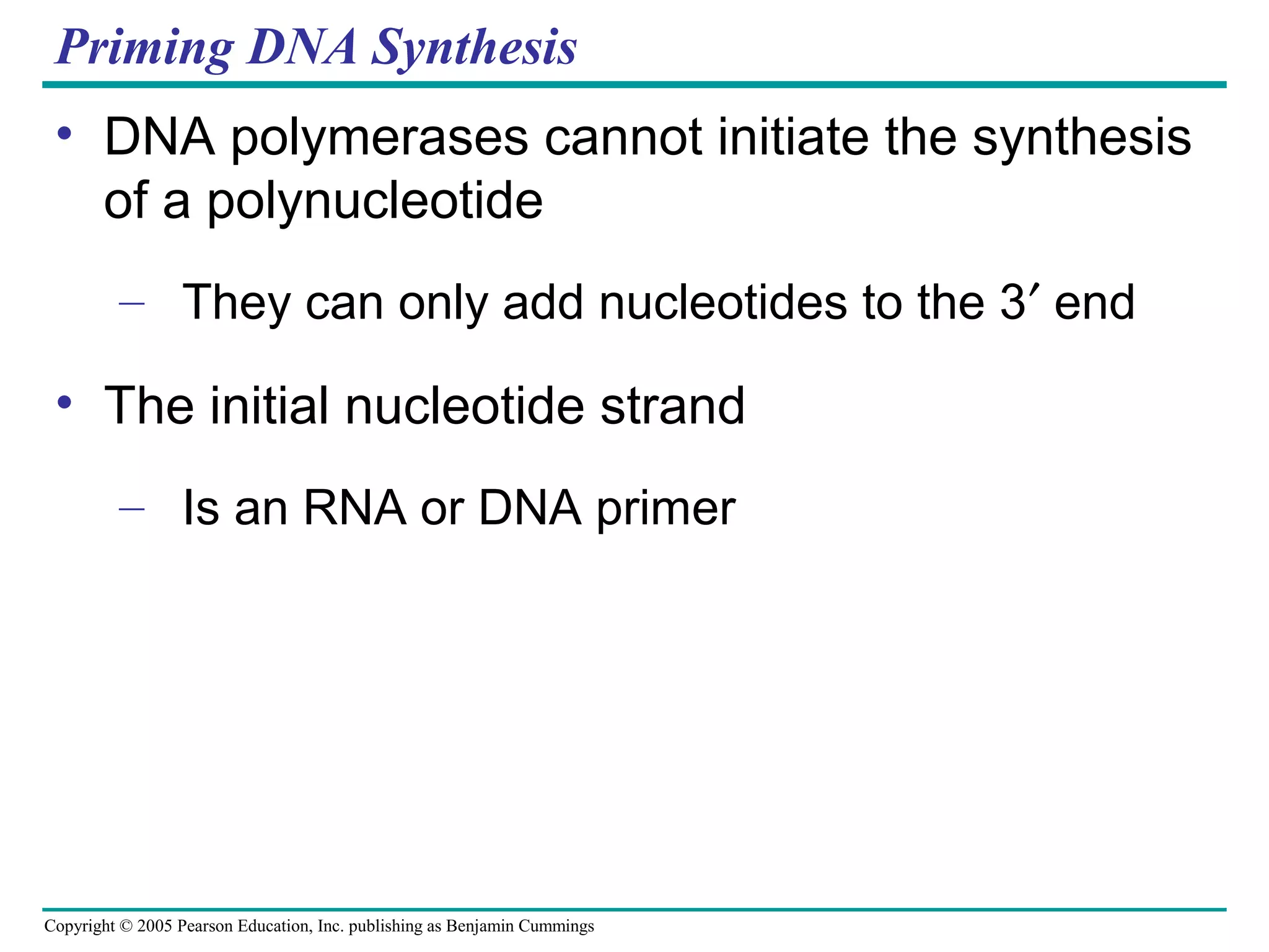 Copyright © 2005 Pearson Education, Inc. publishing as Benjamin Cummings
Priming DNA Synthesis
• DNA polymerases cannot initiate the synthesis
of a polynucleotide
– They can only add nucleotides to the 3′ end
• The initial nucleotide strand
– Is an RNA or DNA primer
 