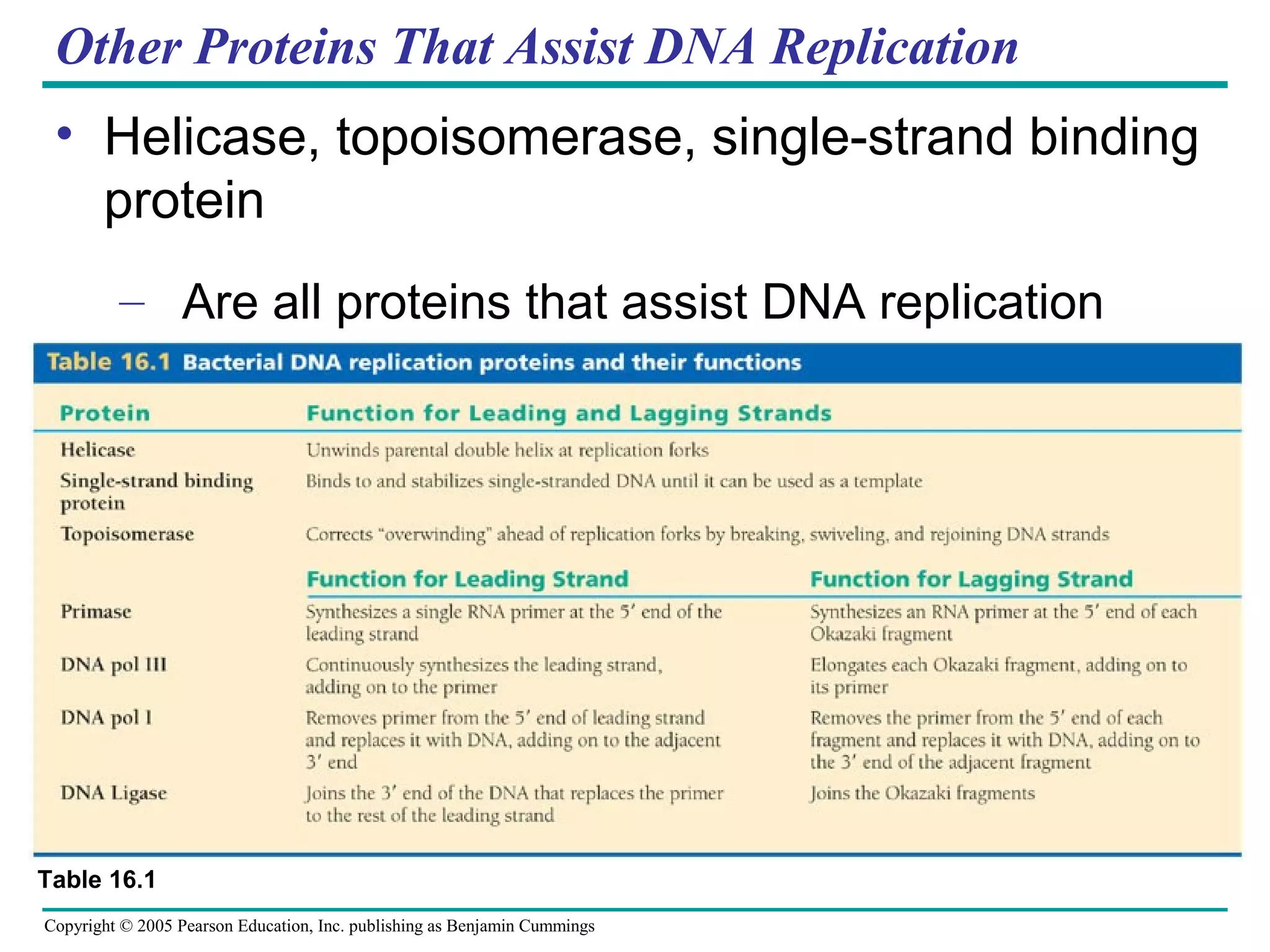 Copyright © 2005 Pearson Education, Inc. publishing as Benjamin Cummings
Other Proteins That Assist DNA Replication
• Helicase, topoisomerase, single-strand binding
protein
– Are all proteins that assist DNA replication
Table 16.1
 