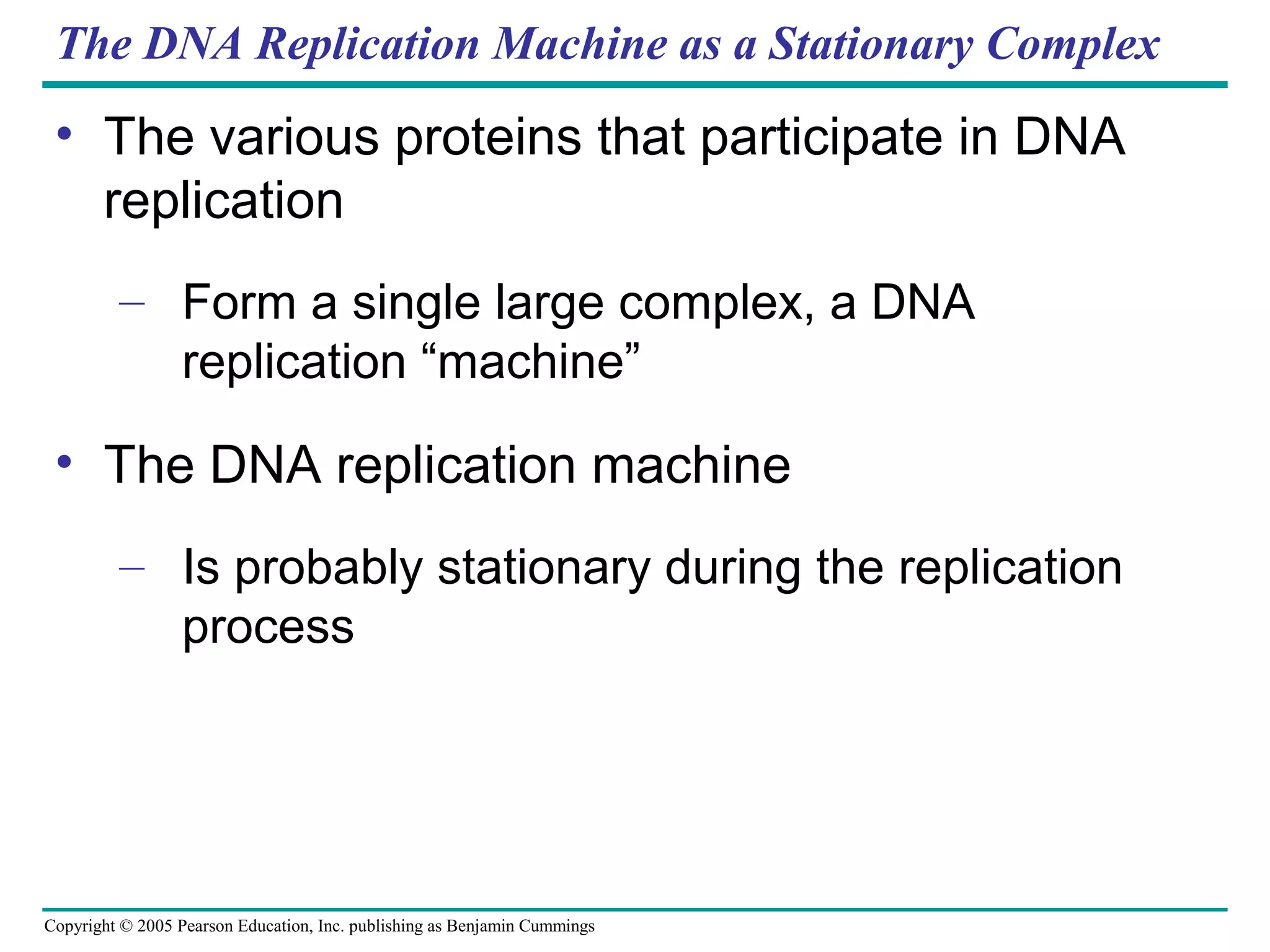 Copyright © 2005 Pearson Education, Inc. publishing as Benjamin Cummings
The DNA Replication Machine as a Stationary Complex
• The various proteins that participate in DNA
replication
– Form a single large complex, a DNA
replication “machine”
• The DNA replication machine
– Is probably stationary during the replication
process
 