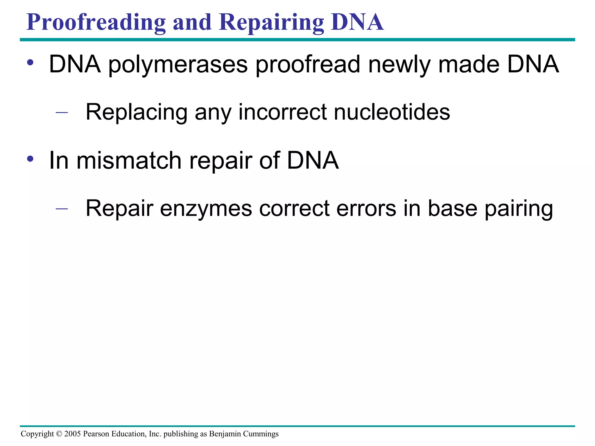 Copyright © 2005 Pearson Education, Inc. publishing as Benjamin Cummings
Proofreading and Repairing DNA
• DNA polymerases proofread newly made DNA
– Replacing any incorrect nucleotides
• In mismatch repair of DNA
– Repair enzymes correct errors in base pairing
 
