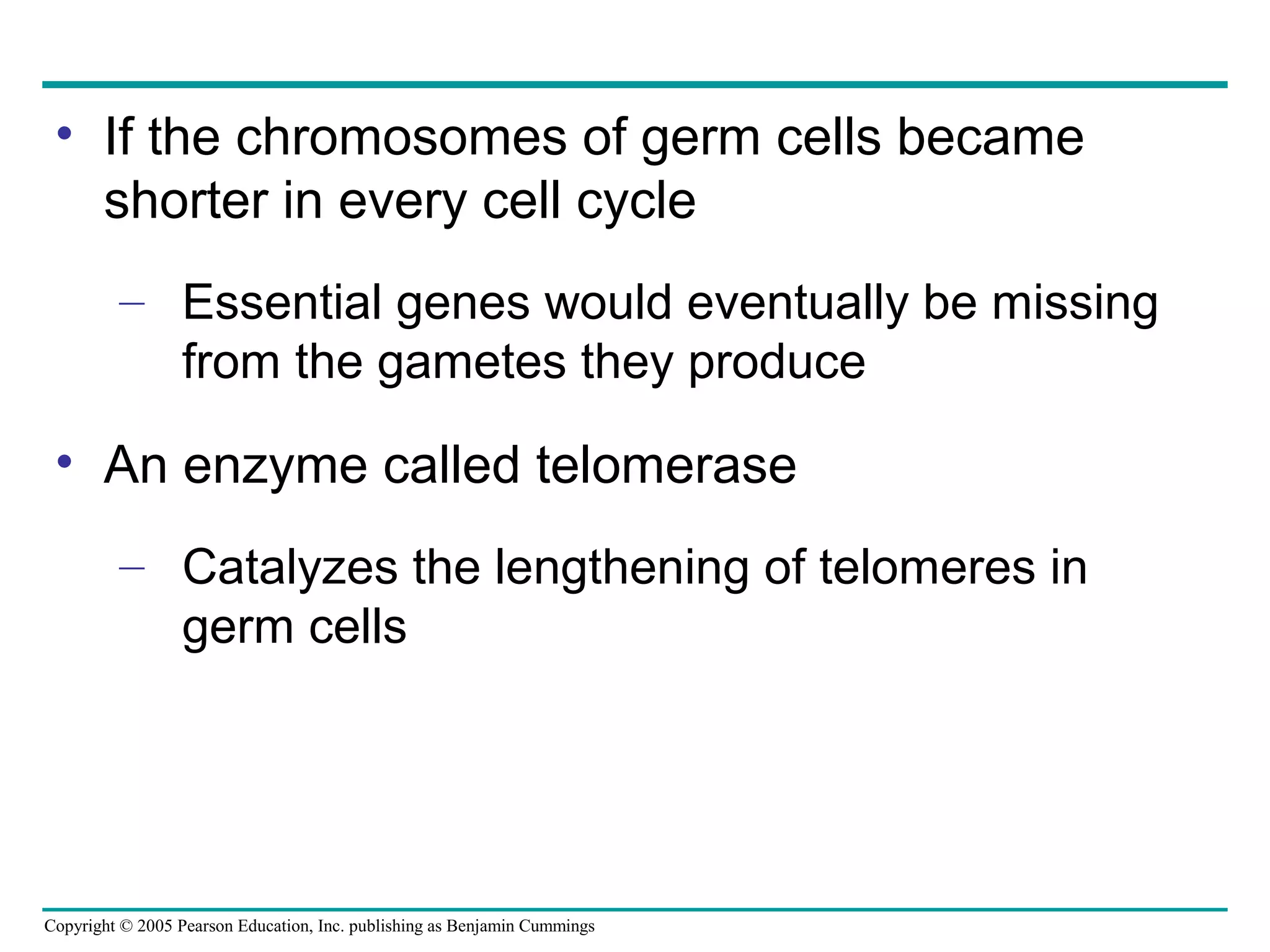 Copyright © 2005 Pearson Education, Inc. publishing as Benjamin Cummings
• If the chromosomes of germ cells became
shorter in every cell cycle
– Essential genes would eventually be missing
from the gametes they produce
• An enzyme called telomerase
– Catalyzes the lengthening of telomeres in
germ cells
 