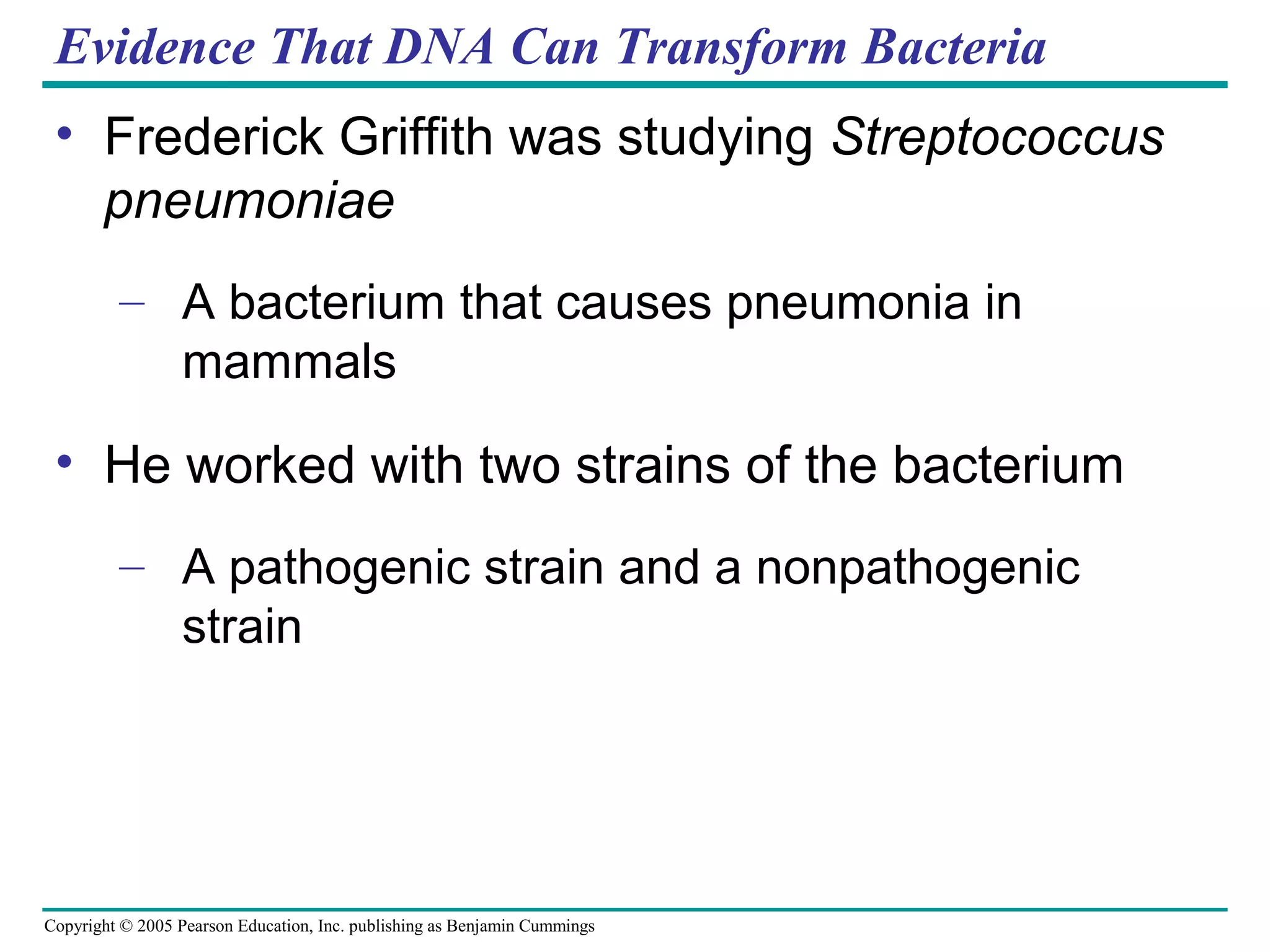 Copyright © 2005 Pearson Education, Inc. publishing as Benjamin Cummings
Evidence That DNA Can Transform Bacteria
• Frederick Griffith was studying Streptococcus
pneumoniae
– A bacterium that causes pneumonia in
mammals
• He worked with two strains of the bacterium
– A pathogenic strain and a nonpathogenic
strain
 