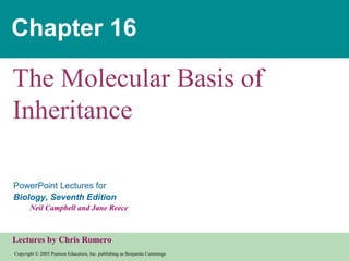 Copyright © 2005 Pearson Education, Inc. publishing as Benjamin Cummings
PowerPoint Lectures for
Biology, Seventh Edition
Neil Campbell and Jane Reece
Lectures by Chris Romero
Chapter 16
The Molecular Basis of
Inheritance
 