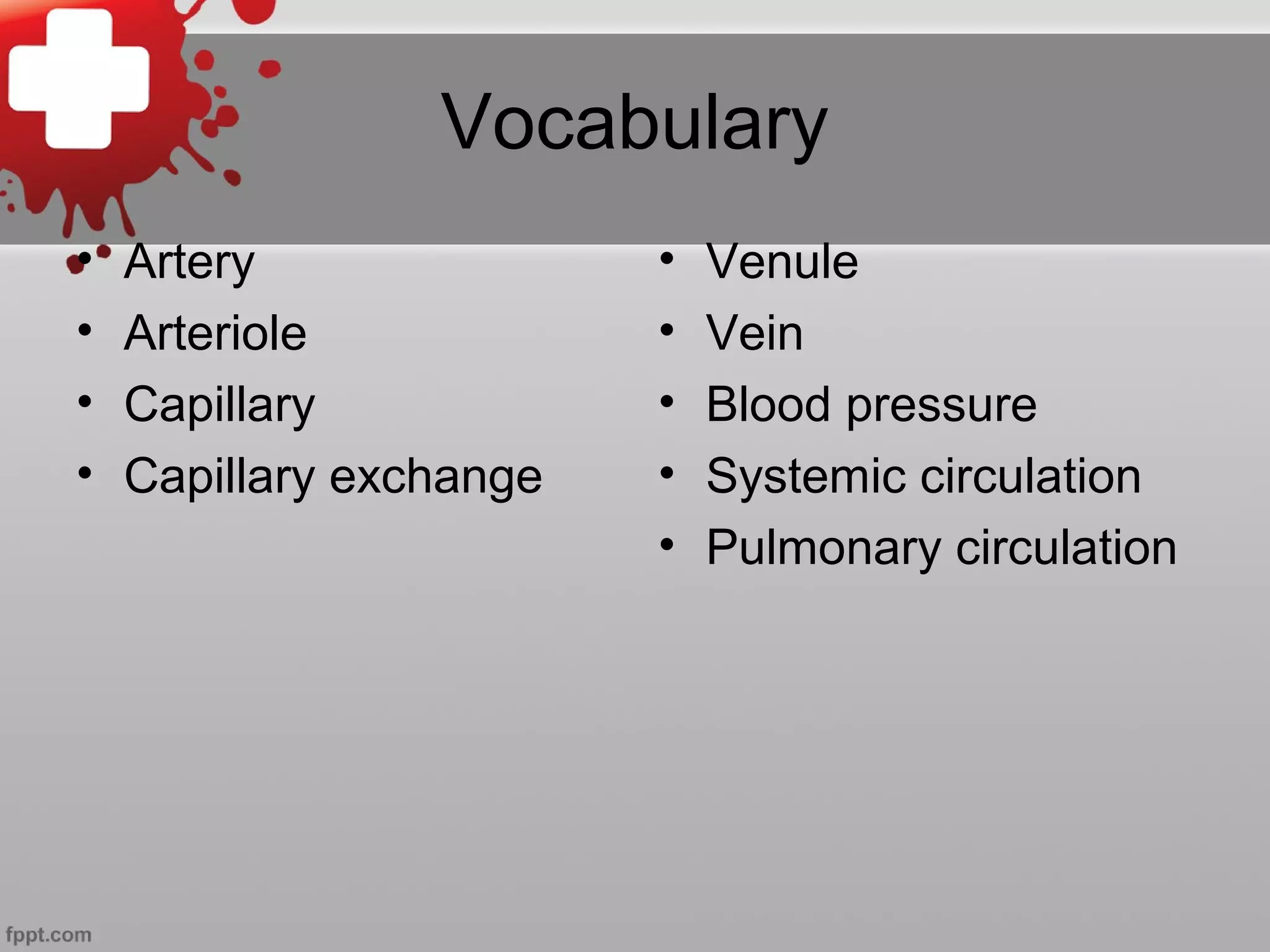 Vocabulary
• Artery
• Arteriole
• Capillary
• Capillary exchange
• Venule
• Vein
• Blood pressure
• Systemic circulation
• Pulmonary circulation
 