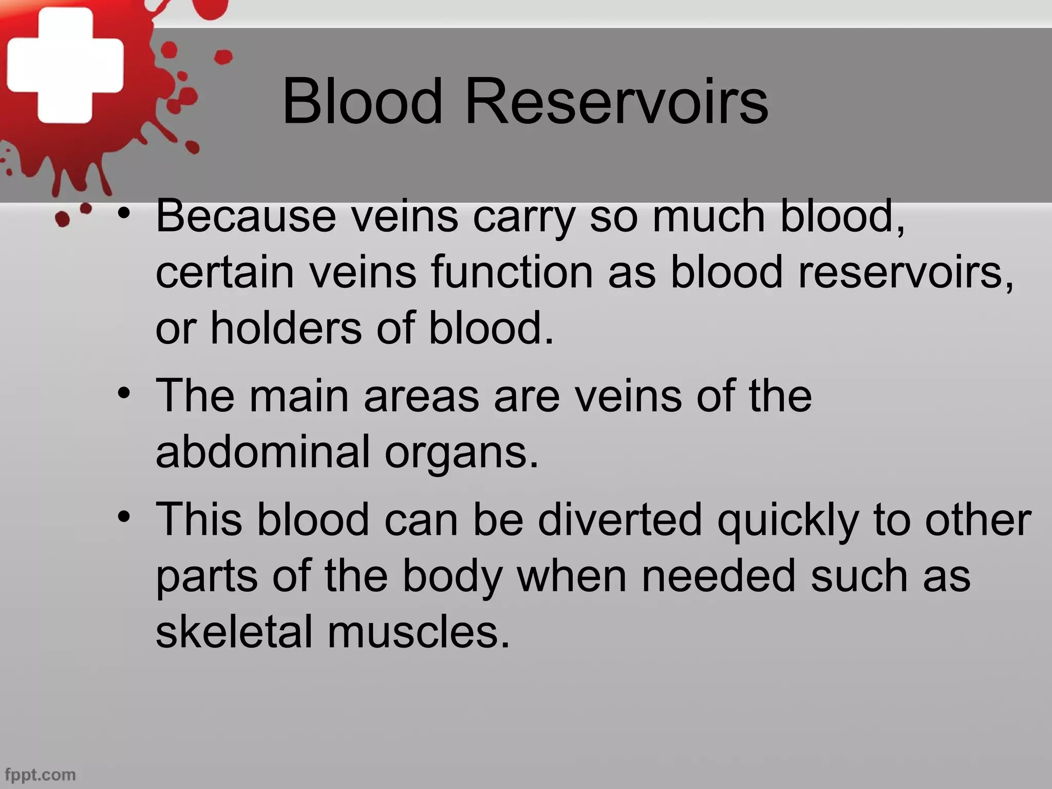Blood Reservoirs
• Because veins carry so much blood,
certain veins function as blood reservoirs,
or holders of blood.
• The main areas are veins of the
abdominal organs.
• This blood can be diverted quickly to other
parts of the body when needed such as
skeletal muscles.
 