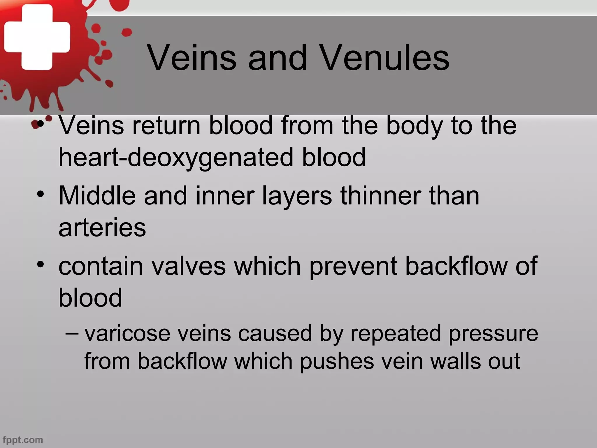 Veins and Venules
• Veins return blood from the body to the
heart-deoxygenated blood
• Middle and inner layers thinner than
arteries
• contain valves which prevent backflow of
blood
– varicose veins caused by repeated pressure
from backflow which pushes vein walls out
 
