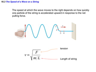 16.3  The Speed of a Wave on a String The speed at which the wave moves to the right depends on how quickly one particle of the string is accelerated upward in response to the net  pulling force. tension Length of string 