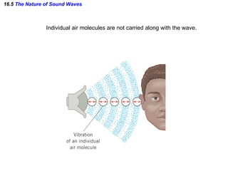 16.5  The Nature of Sound Waves Individual air molecules are not carried along with the wave. 