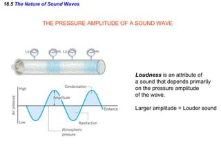 16.5  The Nature of Sound Waves THE PRESSURE AMPLITUDE OF A SOUND WAVE Loudness  is an attribute of a sound that depends primarily  on the pressure amplitude of the wave. Larger amplitude = Louder sound 