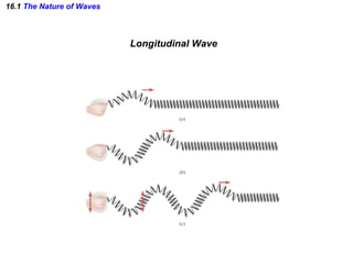 16.1  The Nature of Waves Longitudinal Wave 