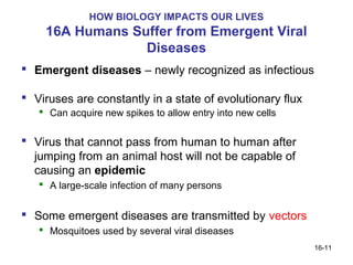 HOW BIOLOGY IMPACTS OUR LIVES
    16A Humans Suffer from Emergent Viral
                 Diseases
 Emergent diseases – newly recognized as infectious

 Viruses are constantly in a state of evolutionary flux
    Can acquire new spikes to allow entry into new cells


 Virus that cannot pass from human to human after
  jumping from an animal host will not be capable of
  causing an epidemic
    A large-scale infection of many persons


 Some emergent diseases are transmitted by vectors
    Mosquitoes used by several viral diseases
                                                            16-11
 