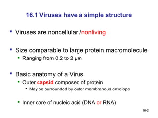 16.1 Viruses have a simple structure

 Viruses are noncellular /nonliving

 Size comparable to large protein macromolecule
   Ranging from 0.2 to 2 μm


 Basic anatomy of a Virus
   Outer capsid composed of protein
      May be surrounded by outer membranous envelope


   Inner core of nucleic acid (DNA or RNA)
                                                        16-2
 