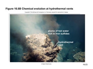 Figure 16.6B Chemical evolution at hydrothermal vents
               Copyright © The McGraw-Hill Companies, Inc. Permission required for reproduction or display.




                                                                plume of hot water
                                                                rich in iron sulfides


                                                                                      hydrothermal
                                                                                      vent




                                                  © Ralph White/Corbis
                                                                                                              16-23
 