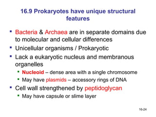 16.9 Prokaryotes have unique structural
                   features

 Bacteria & Archaea are in separate domains due
  to molecular and cellular differences
 Unicellular organisms / Prokaryotic
 Lack a eukaryotic nucleus and membranous
  organelles
   Nucleoid – dense area with a single chromosome
   May have plasmids – accessory rings of DNA
 Cell wall strengthened by peptidoglycan
   May have capsule or slime layer

                                                     16-24
 
