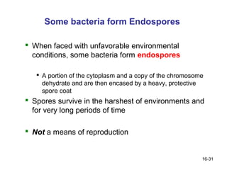 Some bacteria form Endospores

 When faced with unfavorable environmental
  conditions, some bacteria form endospores

    A portion of the cytoplasm and a copy of the chromosome
     dehydrate and are then encased by a heavy, protective
     spore coat
 Spores survive in the harshest of environments and
  for very long periods of time

 Not a means of reproduction


                                                           16-31
 