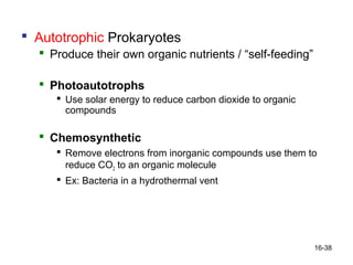  Autotrophic Prokaryotes
   Produce their own organic nutrients / “self-feeding”

   Photoautotrophs
      Use solar energy to reduce carbon dioxide to organic
       compounds

   Chemosynthetic
      Remove electrons from inorganic compounds use them to
       reduce CO2 to an organic molecule
      Ex: Bacteria in a hydrothermal vent




                                                              16-38
 