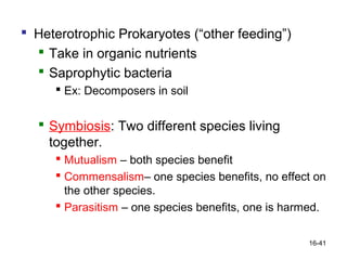  Heterotrophic Prokaryotes (“other feeding”)
   Take in organic nutrients
   Saprophytic bacteria
      Ex: Decomposers in soil


   Symbiosis: Two different species living
    together.
      Mutualism – both species benefit
      Commensalism– one species benefits, no effect on
       the other species.
      Parasitism – one species benefits, one is harmed.


                                                    16-41
 