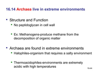 16.14 Archaea live in extreme environments

 Structure and Function
   No peptidoglycan in cell wall

   Ex: Methanogens-produce methane from the
    decomposition of organic matter

 Archaea are found in extreme environments
   Halophiles-organism that requires a salty environment

   Thermoacidophiles-environments are extremely
    acidic with high temperatures                    16-44
 