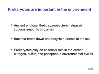 Prokaryotes are important in the environment



  Ancient photosynthetic cyanobacteria released
   copious amounts of oxygen

  Bacteria break down and recycle nutrients in the soil


  Prokaryotes play an essential role in the carbon
   nitrogen, sulfur, and phosphorus environmental cycles



                                                      16-50
 
