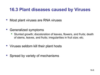 16.3 Plant diseases caused by Viruses

 Most plant viruses are RNA viruses

 Generalized symptoms
    Stunted growth; discoloration of leaves, flowers, and fruits; death
     of stems, leaves, and fruits; irregularities in fruit size; etc.


 Viruses seldom kill their plant hosts

 Spread by variety of mechanisms



                                                                     16-8
 