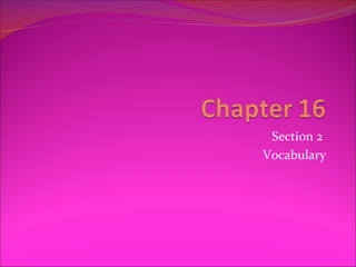 Section 2
Vocabulary
 