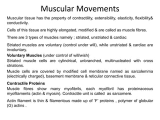 Modified Movements Chapter 16 Skeleton & Movement.pptx