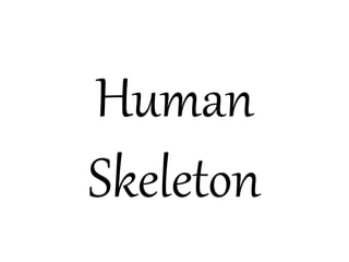Human
Skeleton
 