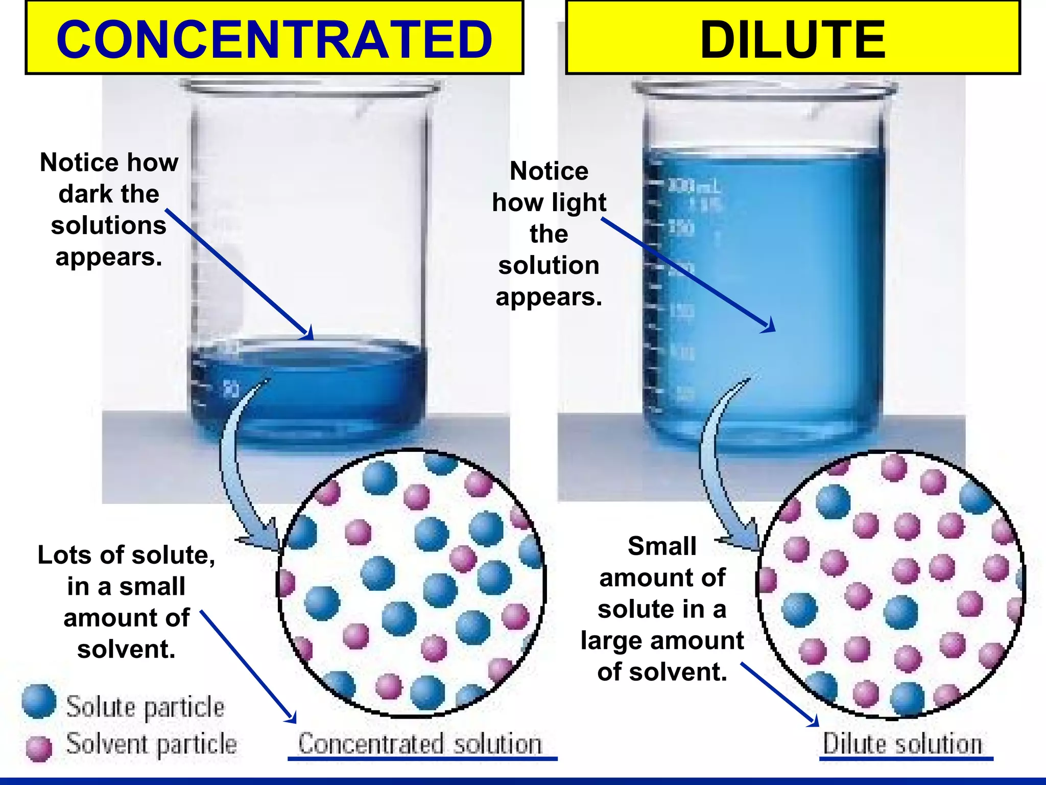 Concentrated vs. Dilute Lots of solute, in a small amount of solvent. Small amount of solute in a large amount of solvent. Notice how dark the solutions appears. Notice how light the solution appears. CONCENTRATED DILUTE 