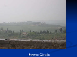 Stratus Clouds 
