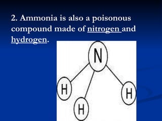 2. Ammonia is also a poisonous compound made of  nitrogen  and  hydrogen .  