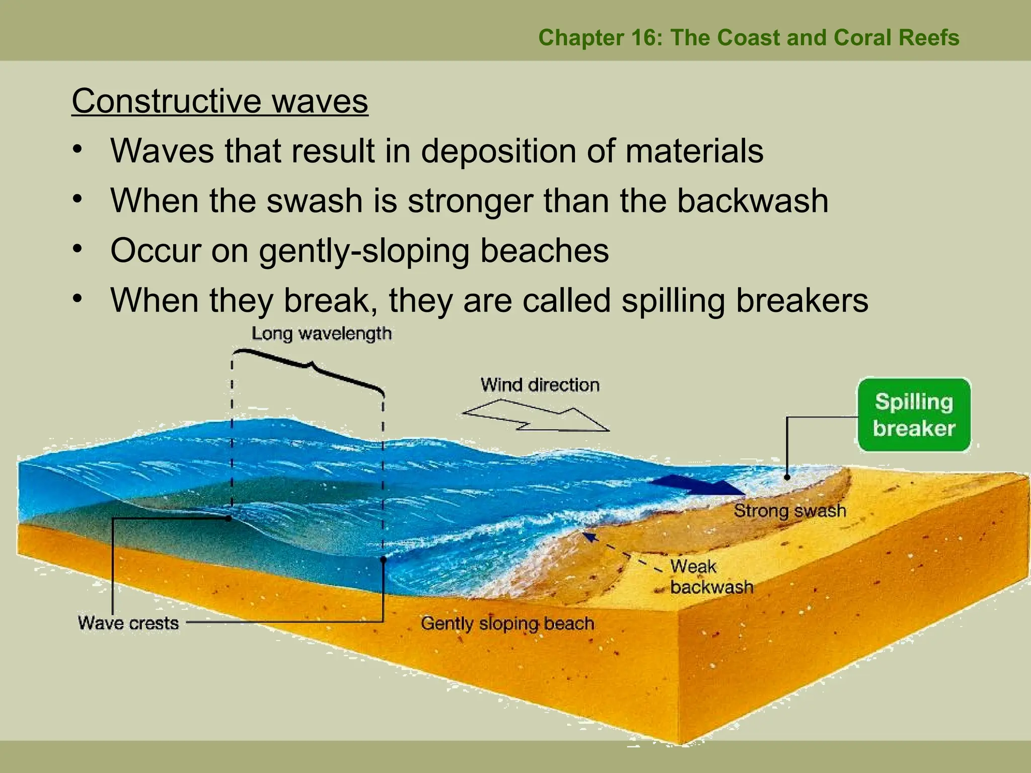 Constructive waves
• Waves that result in deposition of materials
• When the swash is stronger than the backwash
• Occur on gently-sloping beaches
• When they break, they are called spilling breakers
Chapter 16: The Coast and Coral Reefs
 