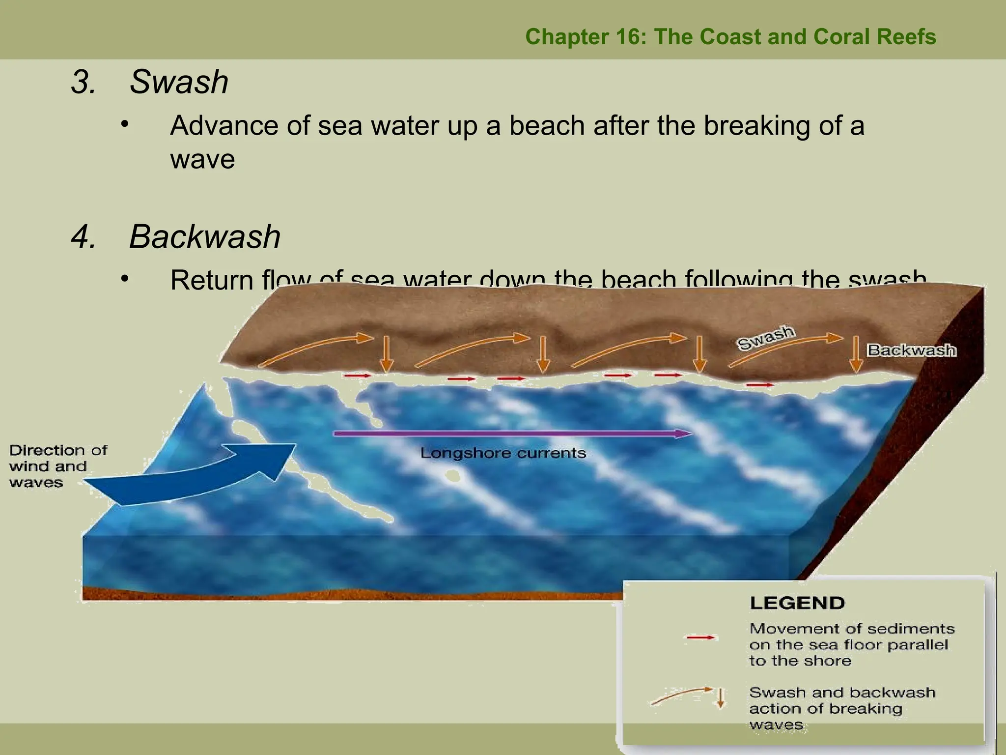 3. Swash
• Advance of sea water up a beach after the breaking of a
wave
4. Backwash
• Return flow of sea water down the beach following the swash
Chapter 16: The Coast and Coral Reefs
 
