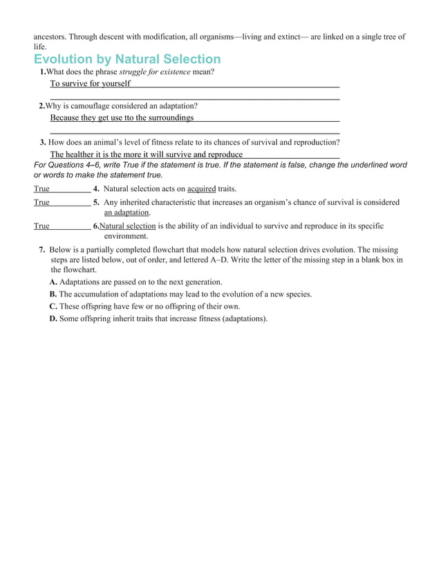Chapter 16 worksheets | DOCX | Geology | Science