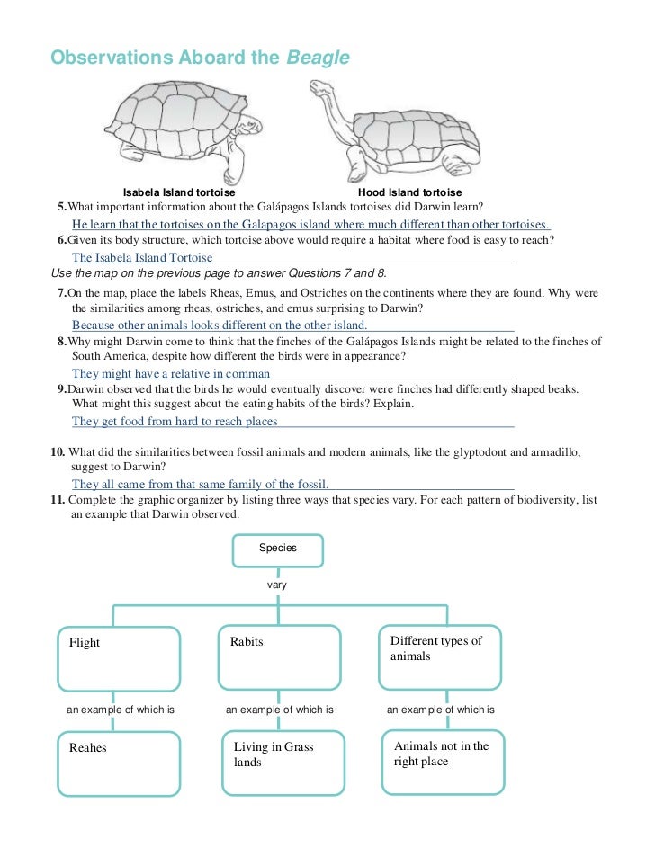 galapagos-island-finches-worksheet-free-download-qstion-co