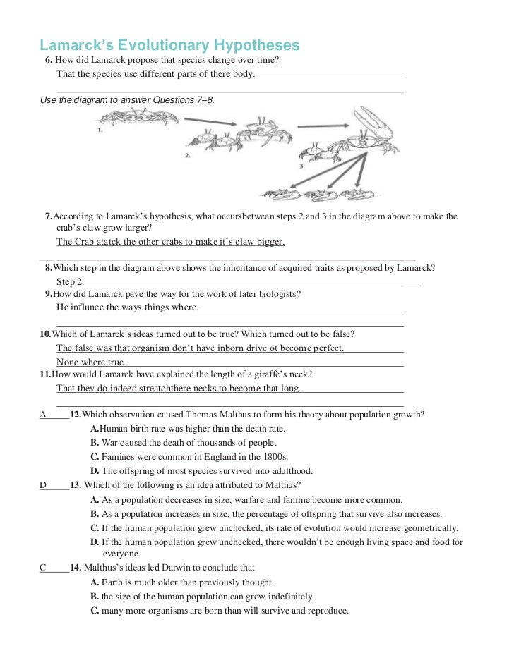 Evidence Of Evolution Worksheet Free Worksheets Library  Download and Print Worksheets  Free 