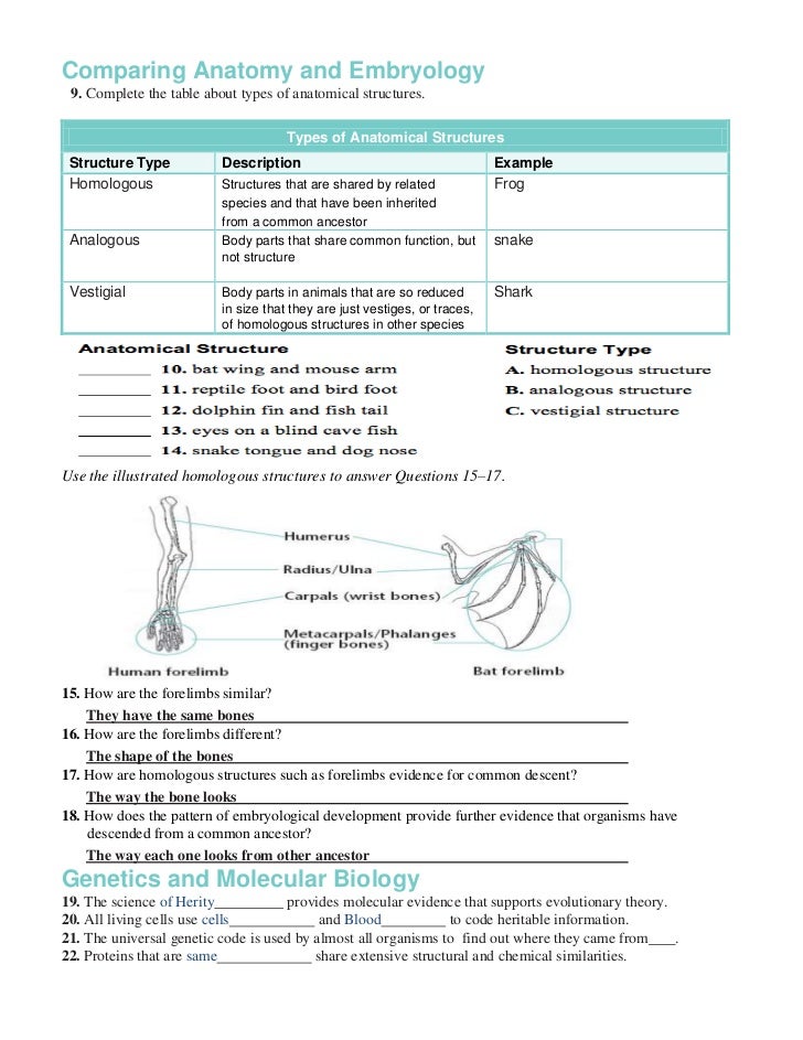 Printables Miller And Levine Biology Worksheets chapter 16 worksheets the way shell looks 9