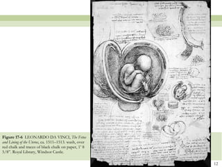 Figure 17-6  LEONARDO DA VINCI,  The Fetus and Lining of the Uterus , ca. 1511–1513. wash, over red chalk and traces of black chalk on paper, 1’ 8 5/8”. Royal Library, Windsor Castle.  