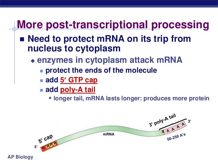 Chapter17 120120073228phpapp02