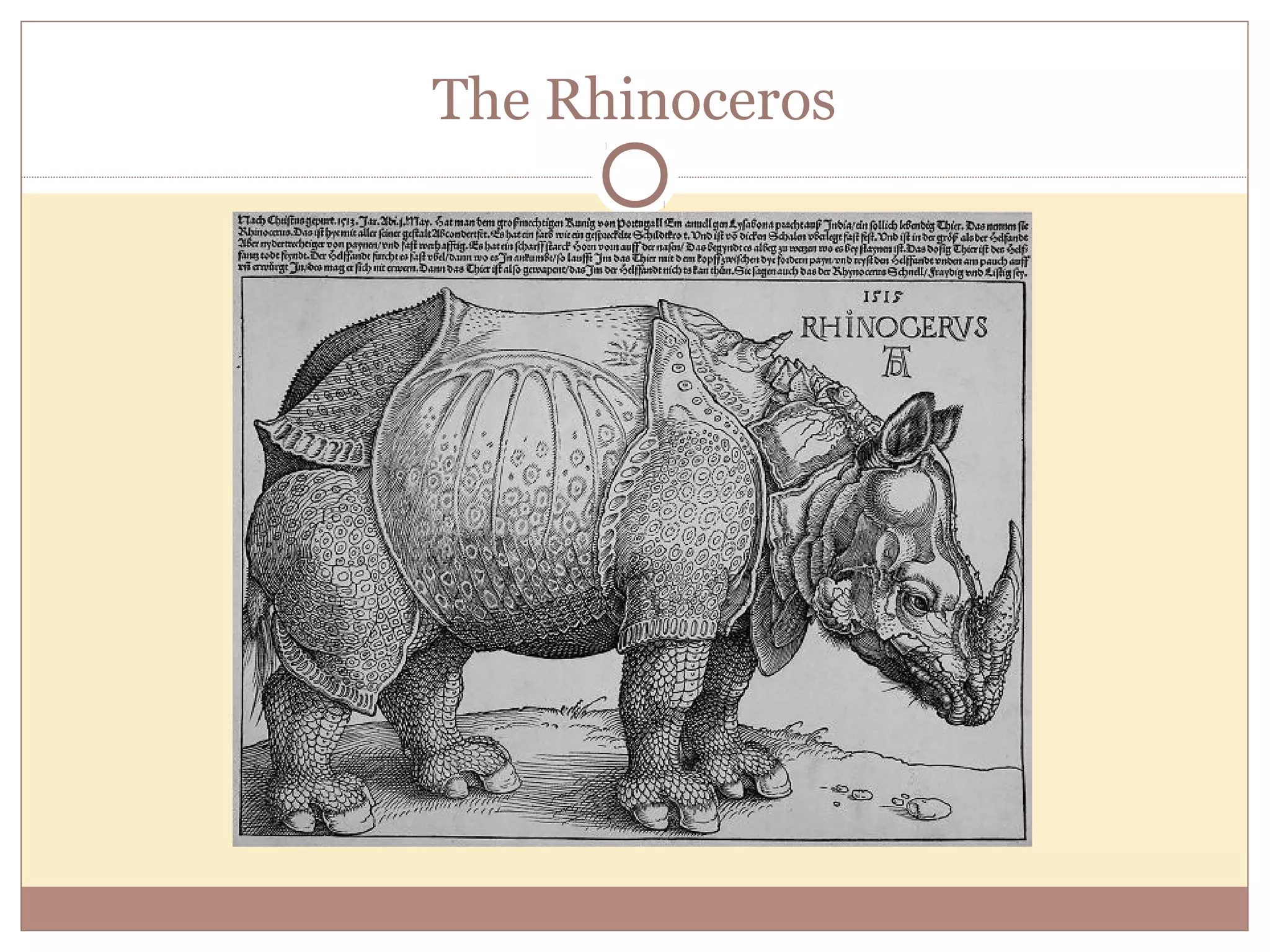 The Rhinoceros
 