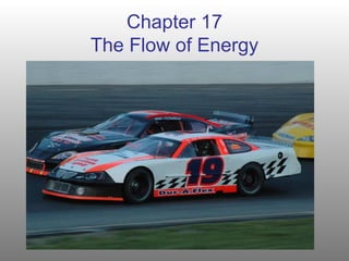 Chapter 17
The Flow of Energy
 