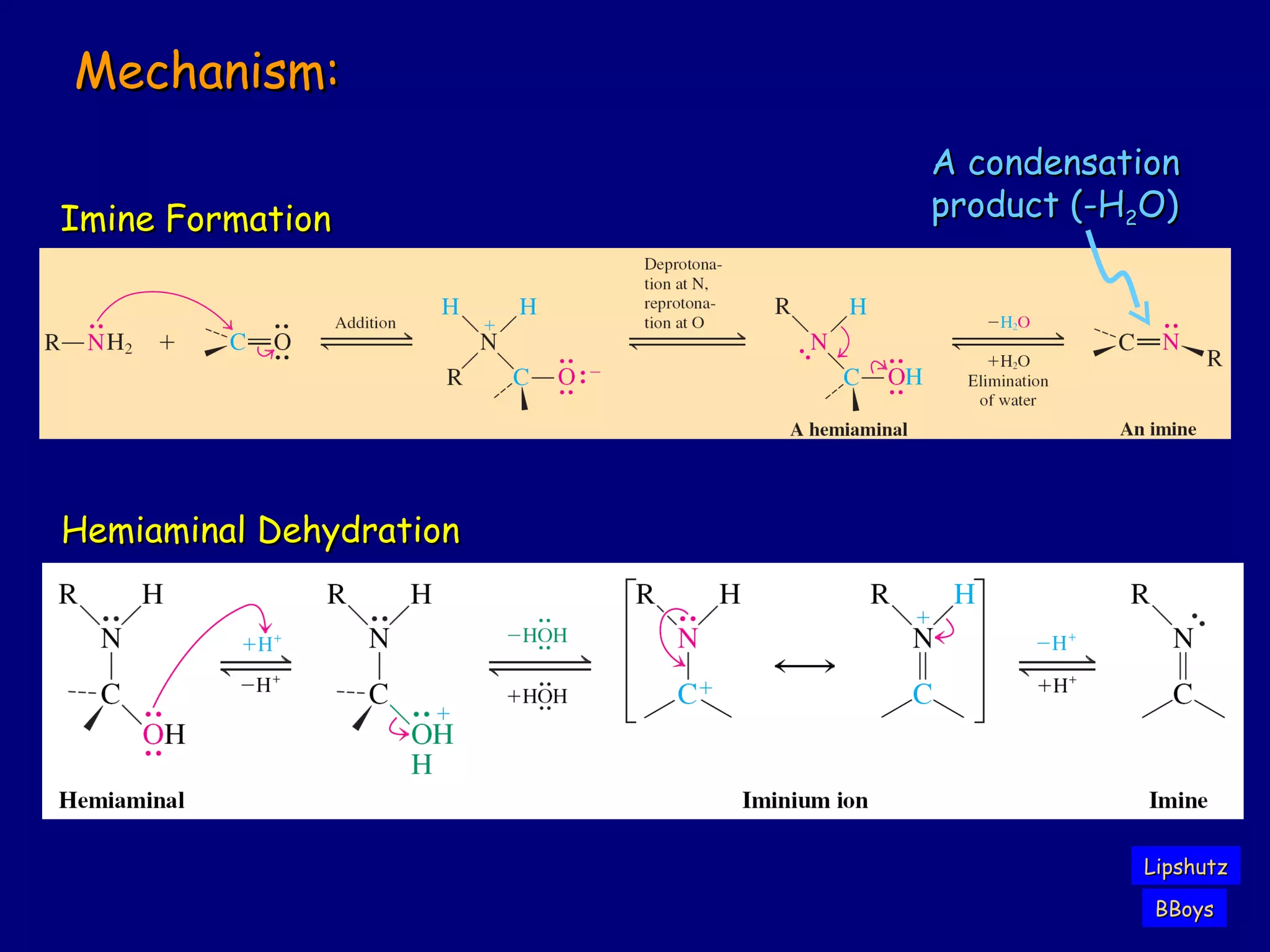 Mechanism:Mechanism:
Hemiaminal DehydrationHemiaminal Dehydration
Imine FormationImine Formation
A condensationA condensation
product (-Hproduct (-H22O)O)
LipshutzLipshutz
BBoysBBoys
 