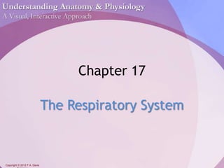 Understanding Anatomy & Physiology 
A Visual, Interactive Approach 
Copyright © 2012 F.A. Davis 
Company 
Chapter 17 
The Respiratory System 
 