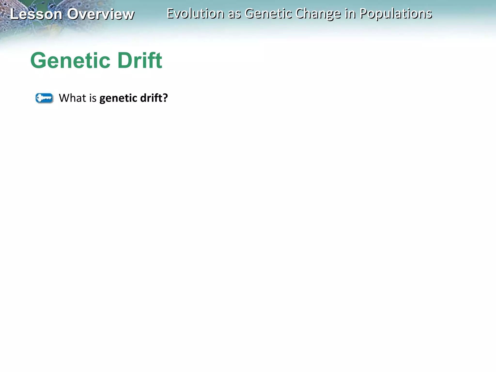Genetic Drift What is  genetic drift?  