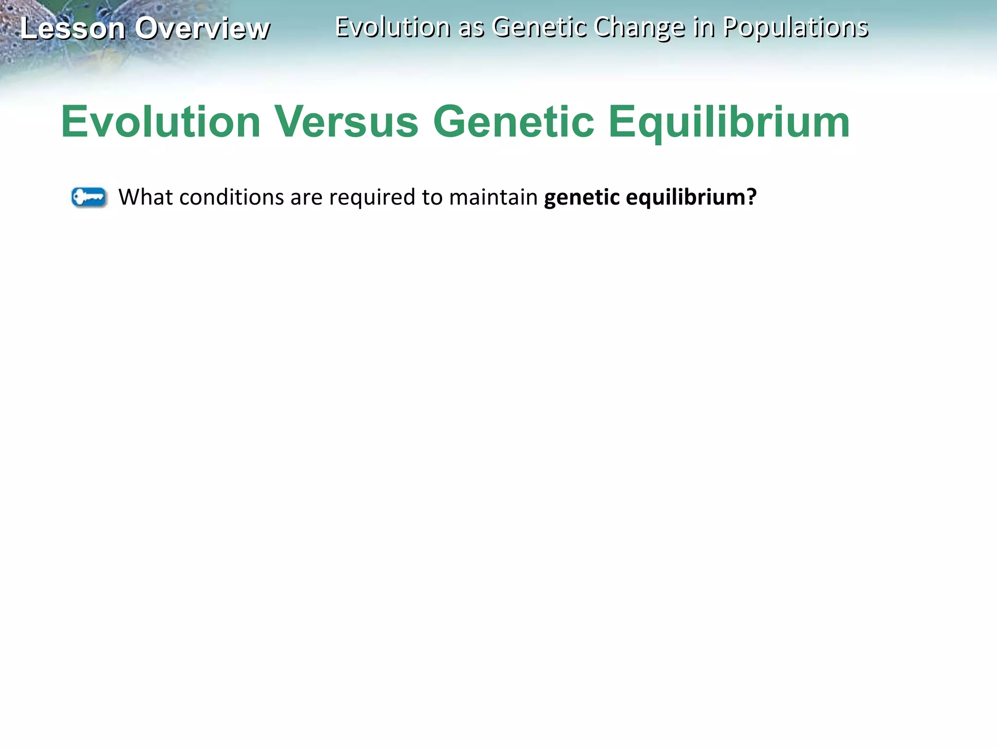 Evolution Versus Genetic Equilibrium What conditions are required to maintain  genetic equilibrium? 