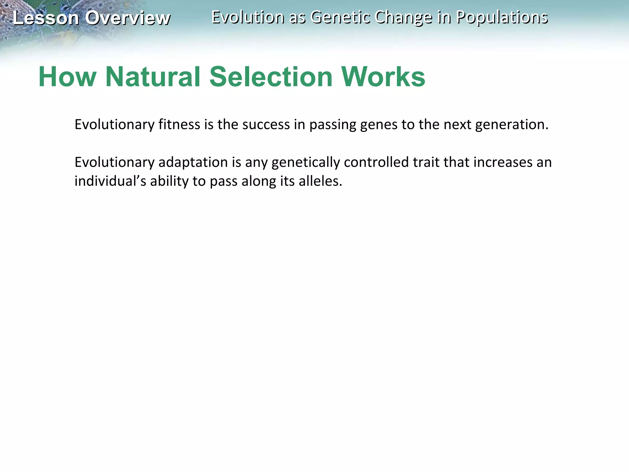 How Natural Selection Works Evolutionary fitness is the success in passing genes to the next generation.   Evolutionary adaptation is any genetically controlled trait that increases an individual’s ability to pass along its alleles.   