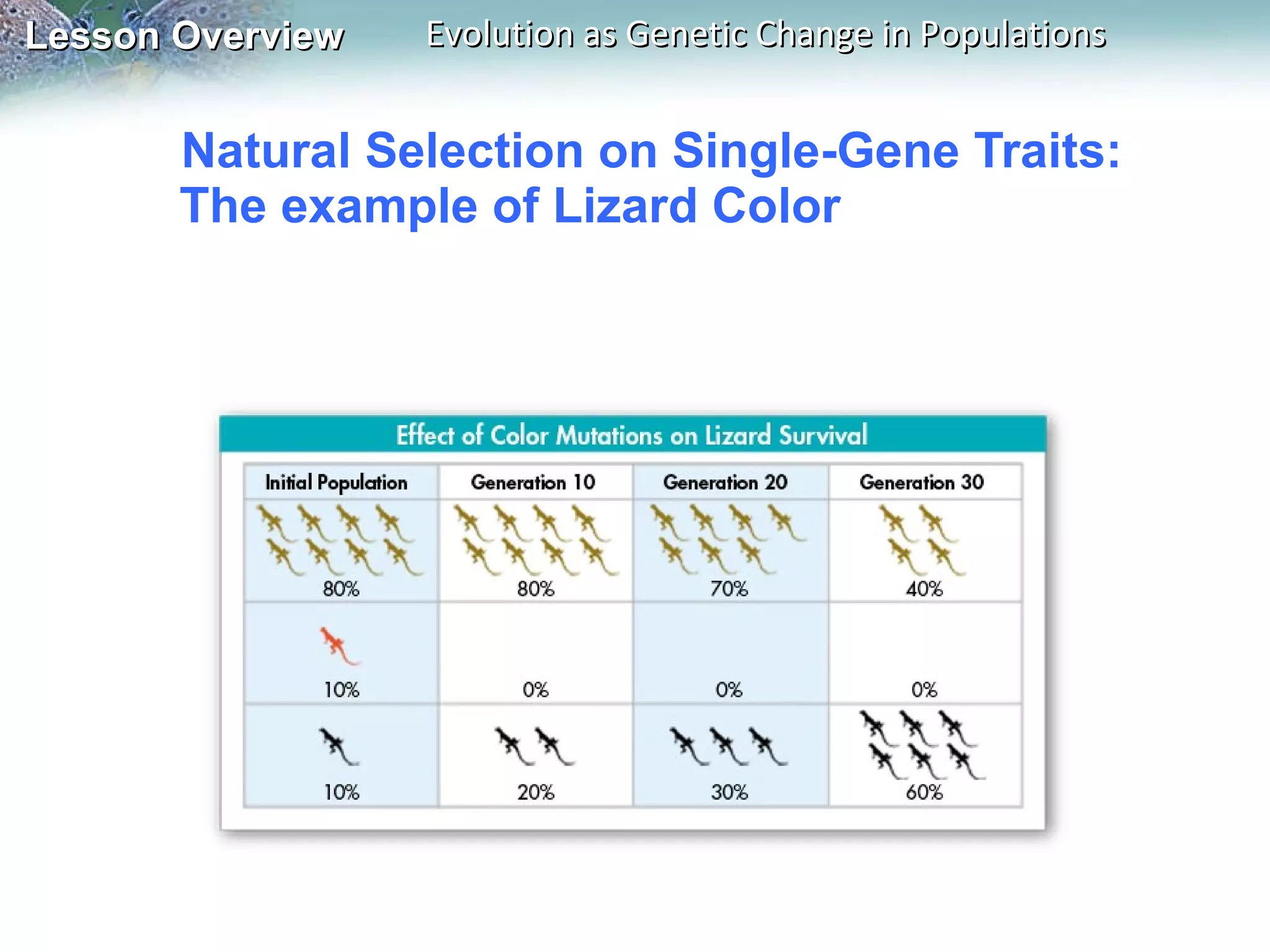 Natural Selection on Single-Gene Traits: The example of Lizard Color 