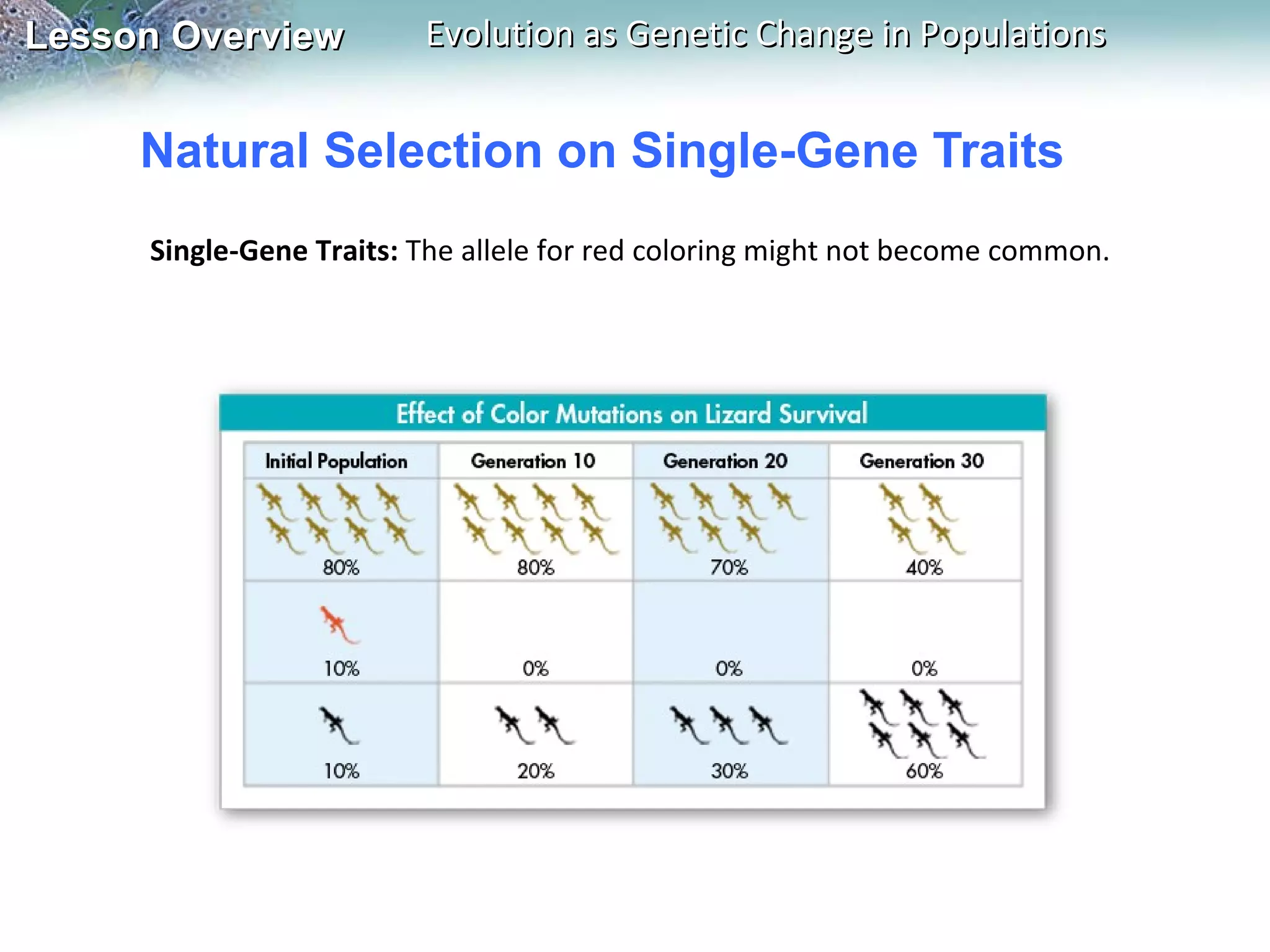 Natural Selection on Single-Gene Traits Single-Gene Traits:  The allele for red coloring might not become common. 