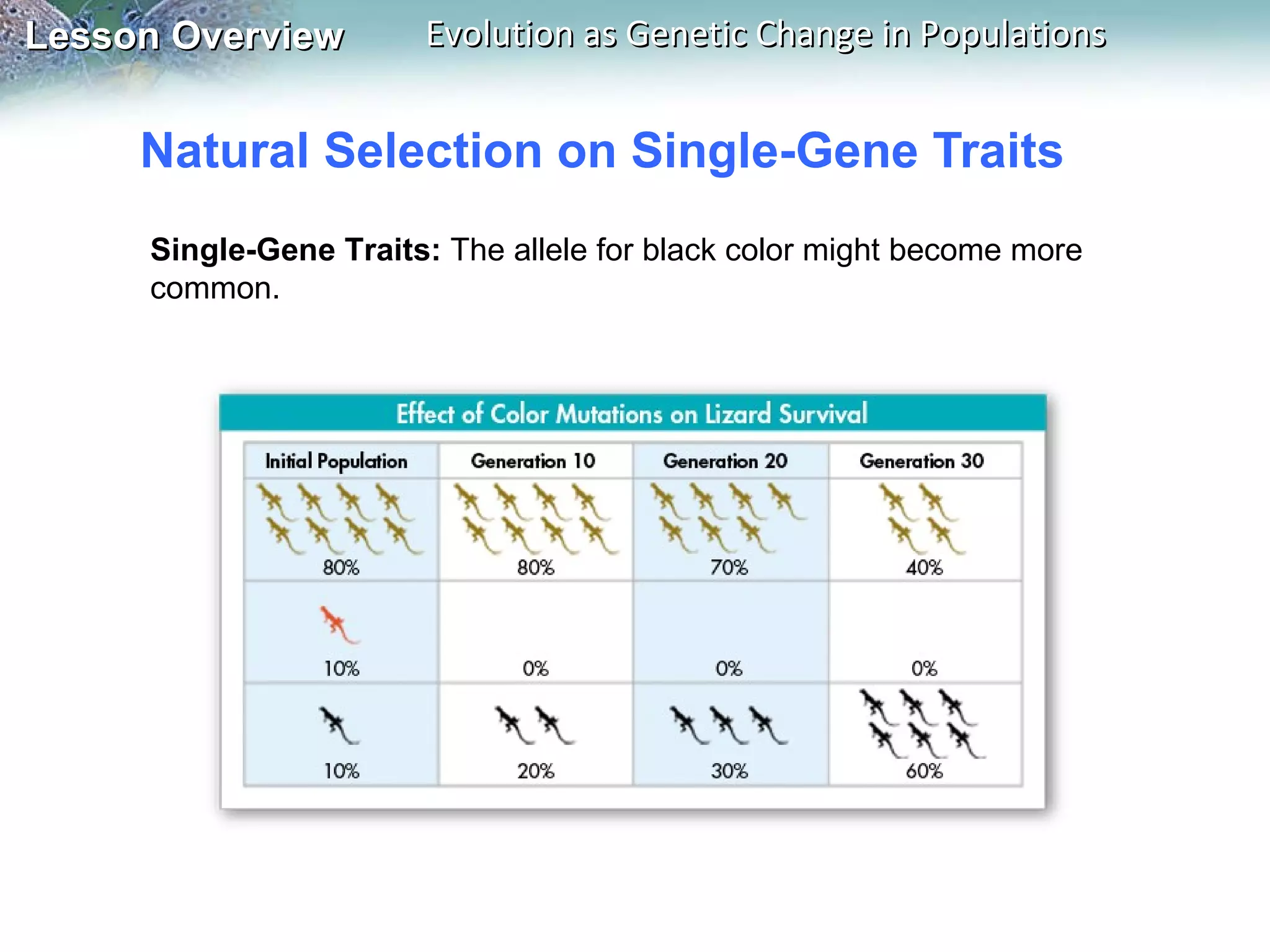 Natural Selection on Single-Gene Traits Single-Gene Traits:  The allele for black color might become more common. 