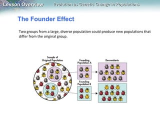The Founder Effect Two groups from a large, diverse population could produce new populations that differ from the original group. 