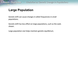 Large Population Genetic drift can cause changes in allele frequencies in small populations.   Genetic drift has less effect on large populations, such as the seals shown.    Large population size helps maintain genetic equilibrium.   